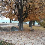 Zum Landesteg Immenstaad am Bodensee