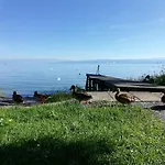 Zum Landesteg Apartment Immenstaad am Bodensee