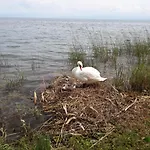 Zum Landesteg Apartment Immenstaad am Bodensee