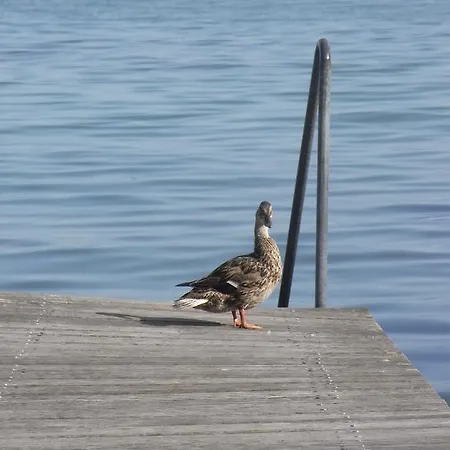 Gaestehaus Zum Landesteg * 이멘슈타트암보덴지