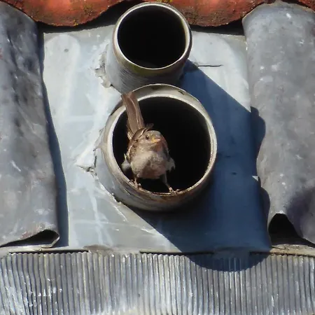 Gaestehaus Zum Landesteg 아파트 이멘슈타트암보덴지