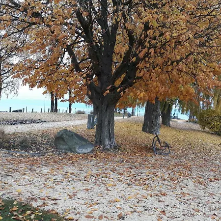 Gaestehaus Zum Landesteg 이멘슈타트암보덴지