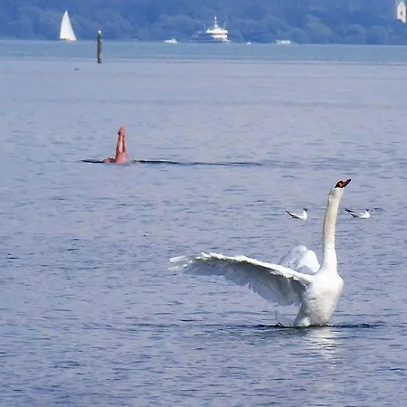 아파트 Gaestehaus Zum Landesteg