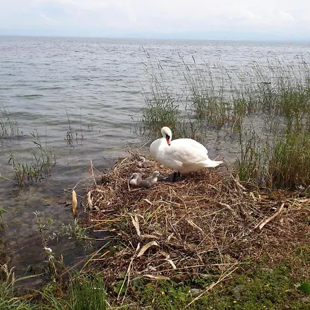 Gaestehaus Zum Landesteg 아파트 이멘슈타트암보덴지