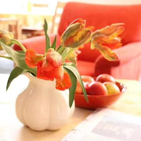 Gaestehaus Zum Landesteg 이멘슈타트암보덴지