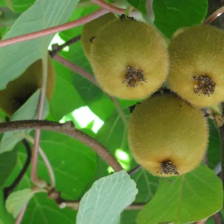 아파트 Gaestehaus Zum Landesteg *